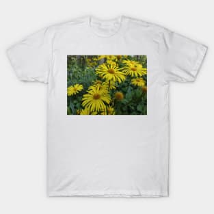 Caucasian gemswort T-Shirt